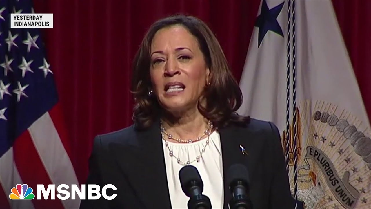 VP Harris will visit Florida to speak out against state's new Black history standards