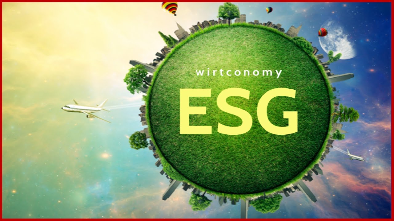 ESG einfach erklärt | Environmental, Social and Environmental | Vor- und Nachteile | wirtconomy