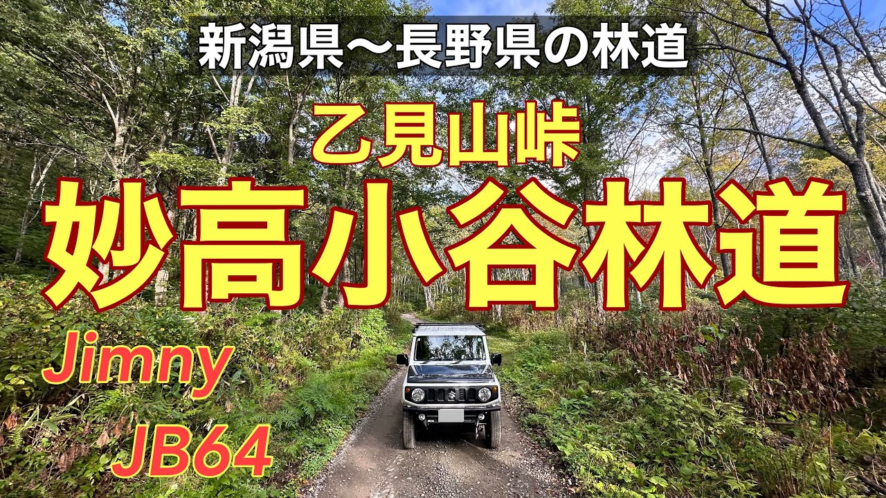 【妙高小谷林道】新潟県から乙見山峠を越えて新潟県に至る林道です。紅葉も見事でした。2024/10/13撮影です。