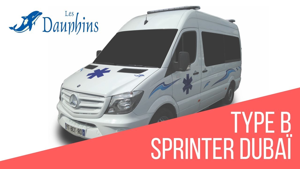 Les Dauphins, Présentation Mercedes Sprinter Type B