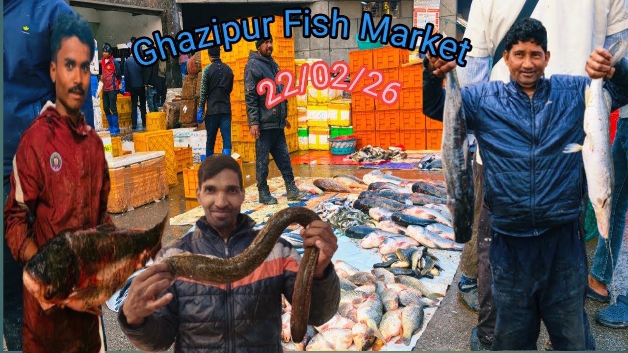 Ghazipur wholesale Fish Market Delhi|Trending |Viral Video|Fish Cating Of India |New Video 2026