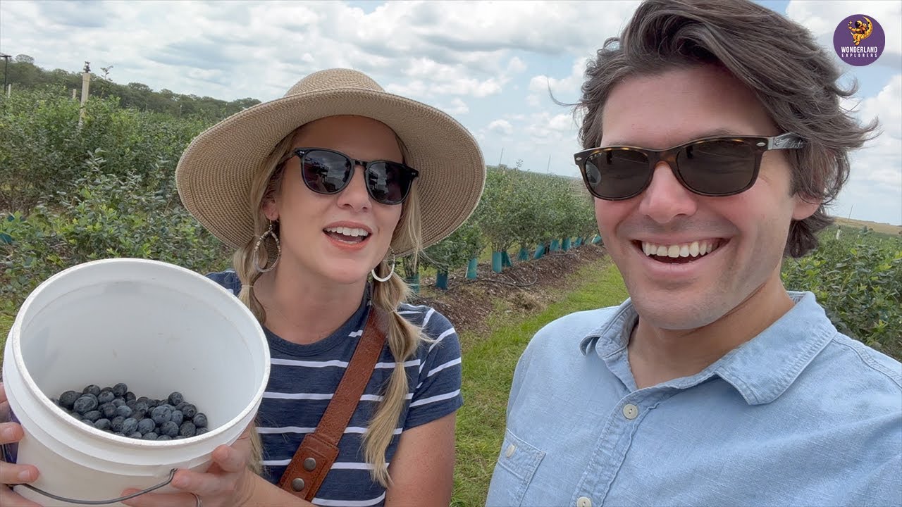 Family Friendly Blueberry and Peach Picking at Southern Hill Farms near Disney World