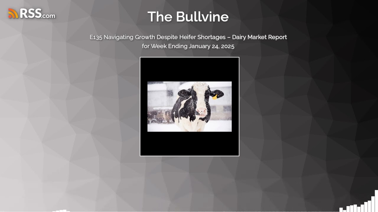 E135 Navigating Growth Despite Heifer Shortages &ndash; Dairy Market Report for Week Ending...