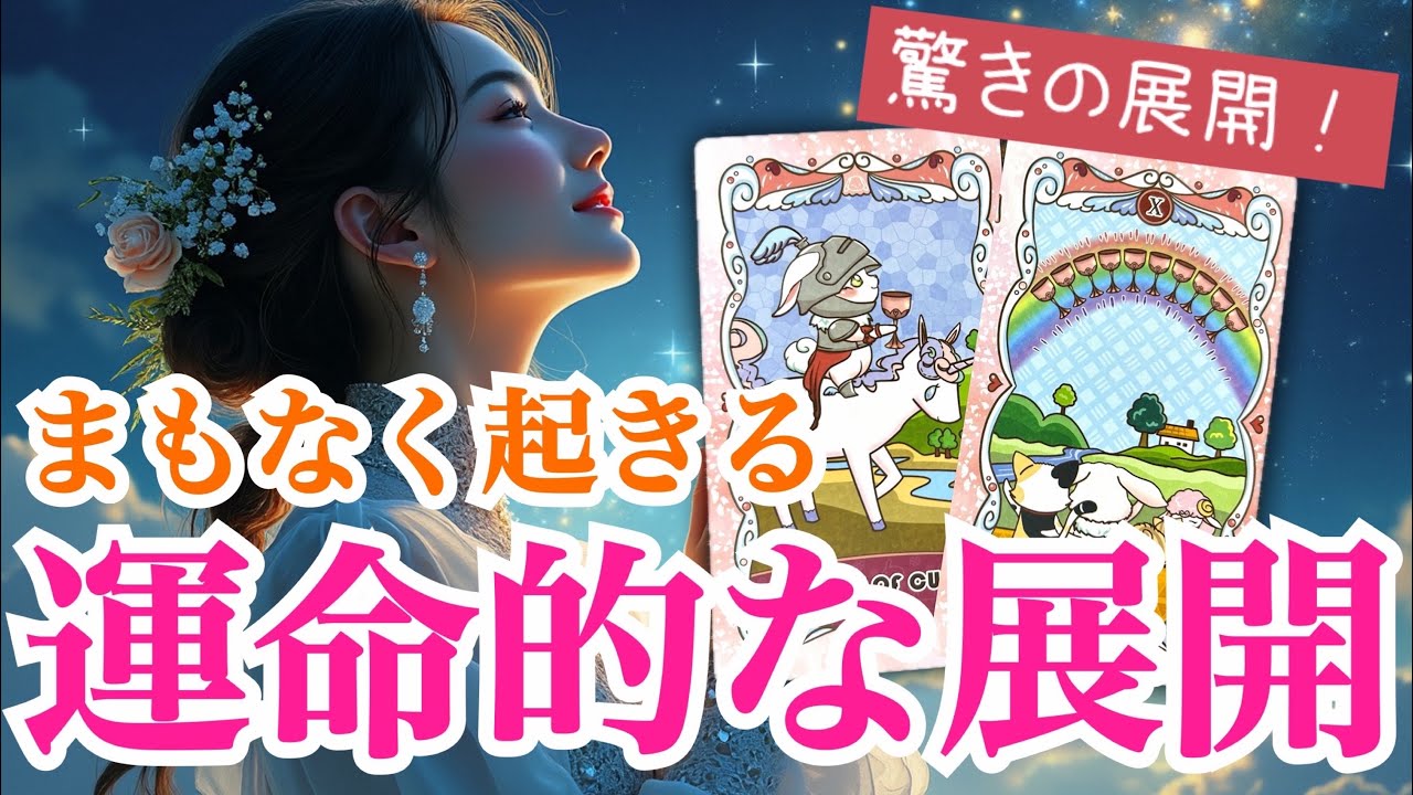 【スゴすぎて鳥肌‼️】ねこ注意⚠️まもなく起きる運命的な展開💫✨