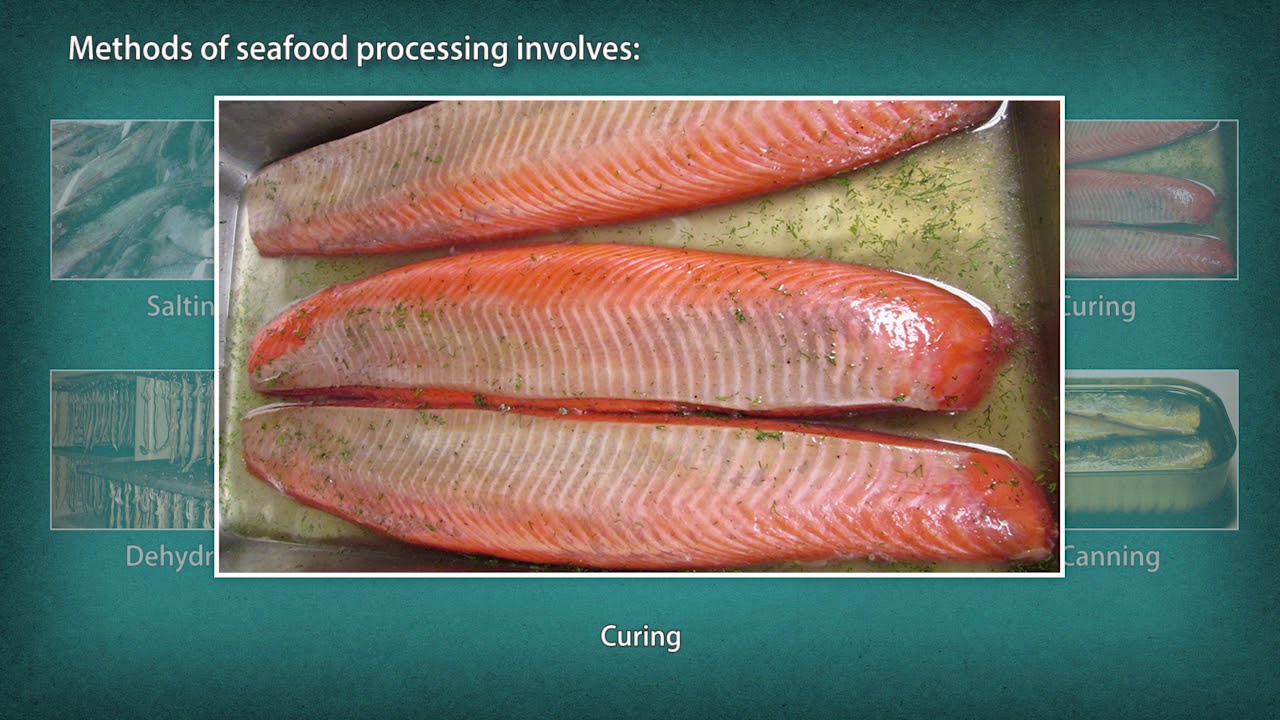 Fish and Sea Food Processing Technician