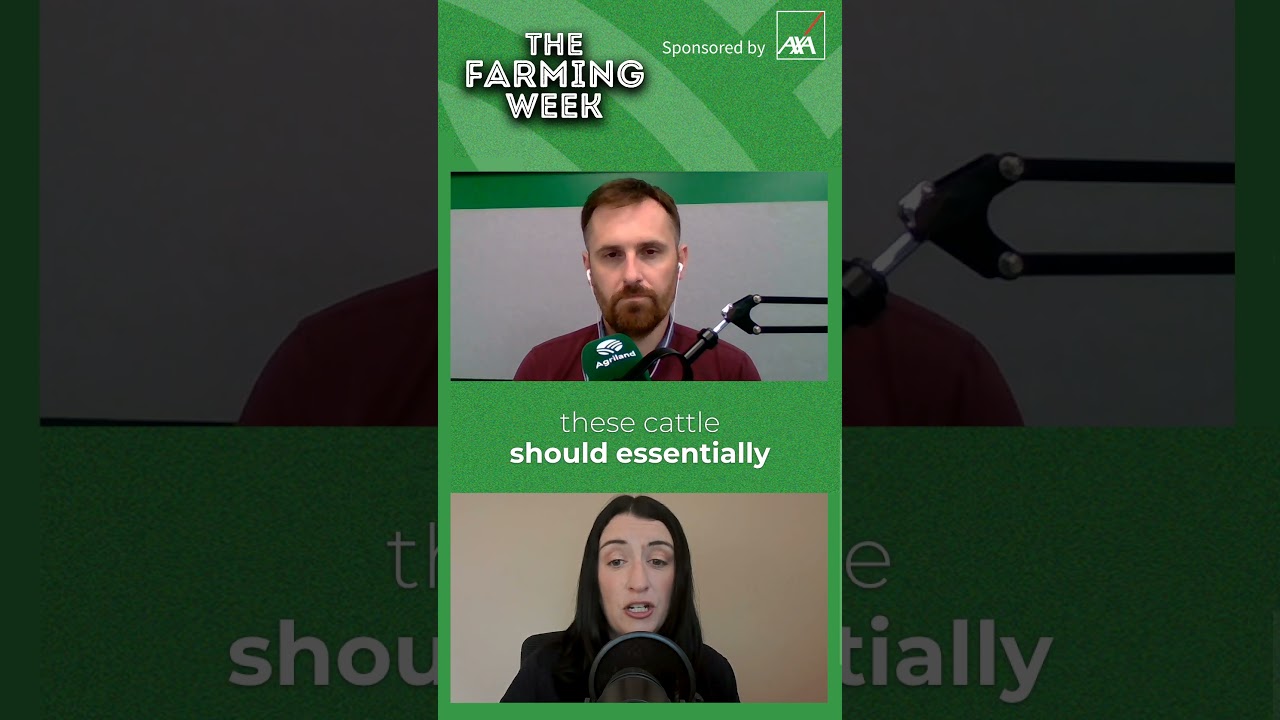 Marts under credit pressures | The Farming Week Podcast
