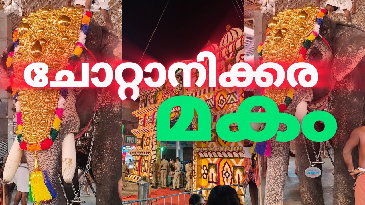 Chottanikkara makam thozhuval 🙏| vdeo is taken a bit us fun. #chottanikara #chottanikkaratemple