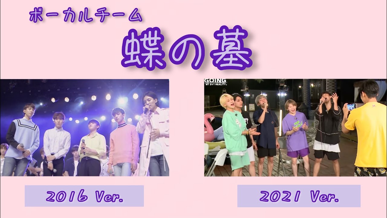 蝶の墓（나비무덤-Butterfly Grave）ボーカルチーム【SEVENTEEN/세븐틴】