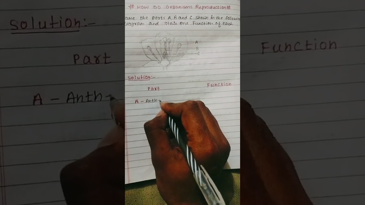 Class 10th science 