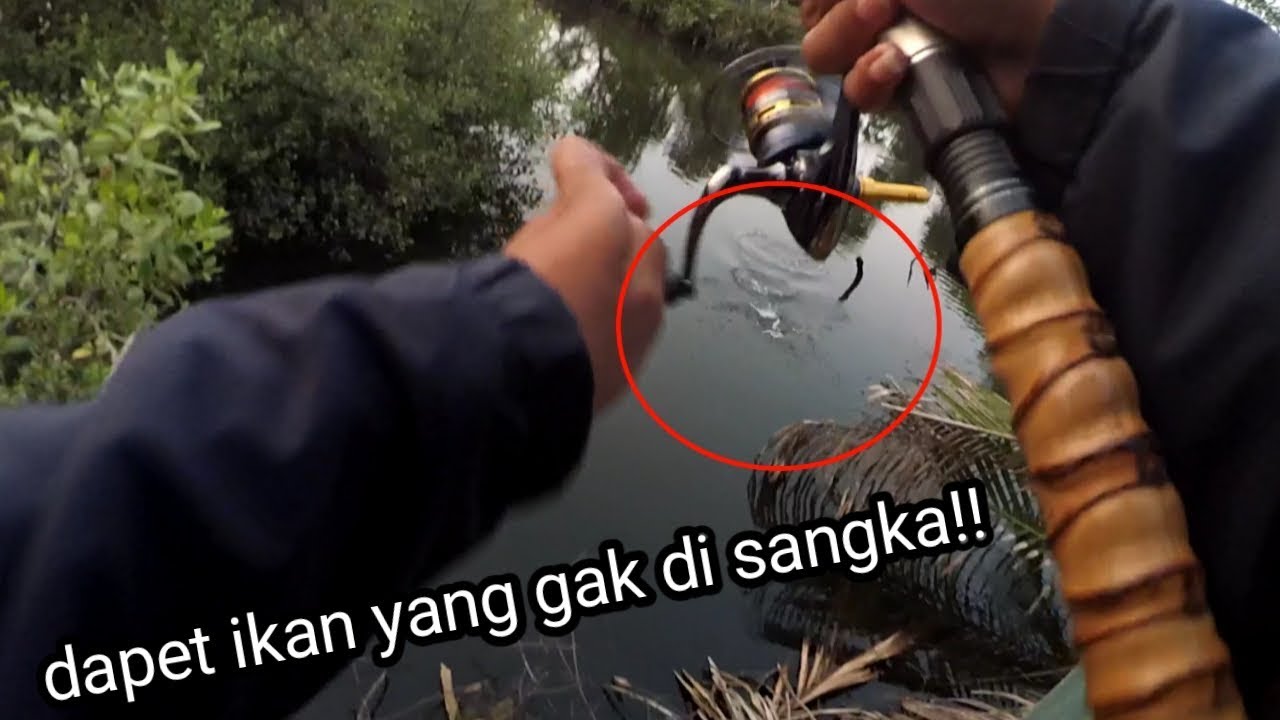 Mancing ultralight menyusuri hutan mangrove PIK jakarta