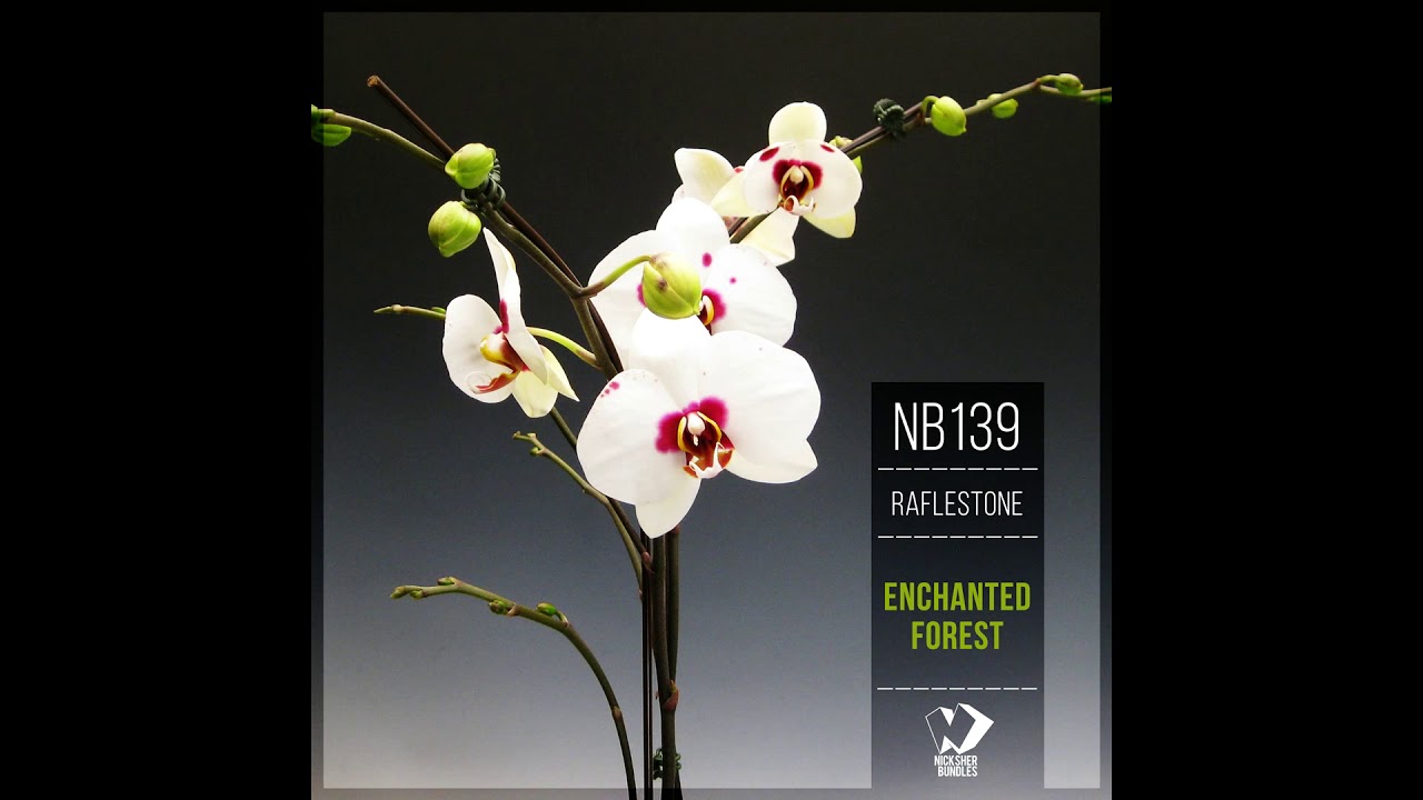 RafleSTone - Above the Clouds (Original Mix) Best Chillout 2019