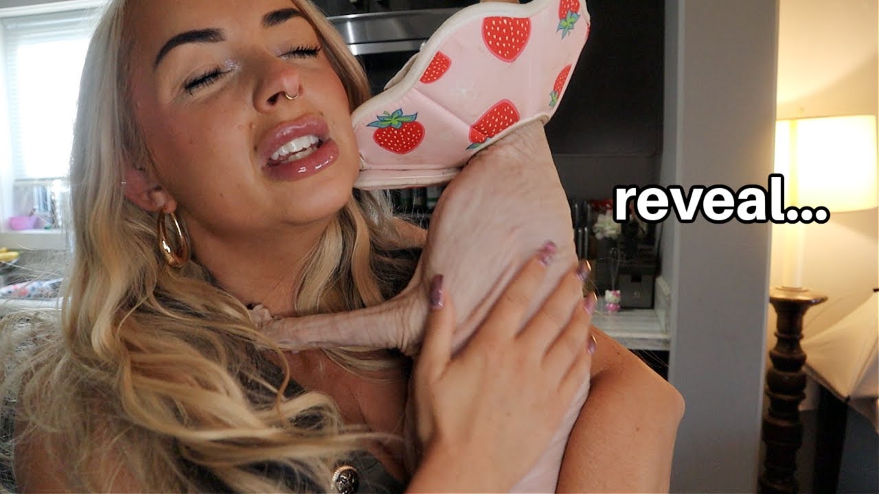 Как мой драгоценный ОДНОГЛАЗЫЙ КОТ поправляется 🥹🥹