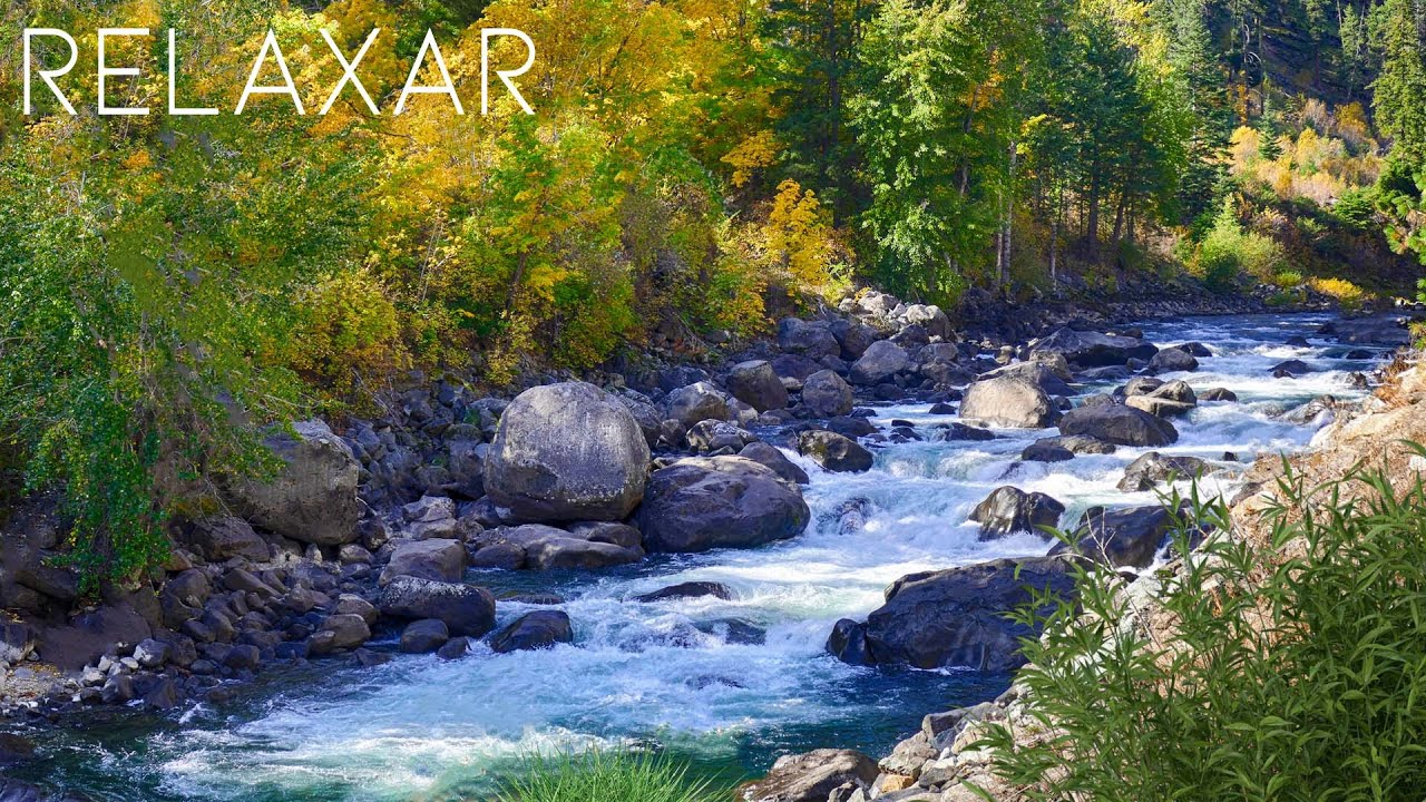 Mente Tranquila - M&uacute;sica Relaxante Celta Para Confortar e Acalmar a Alma com Sons de &Aacute;gua e Natureza