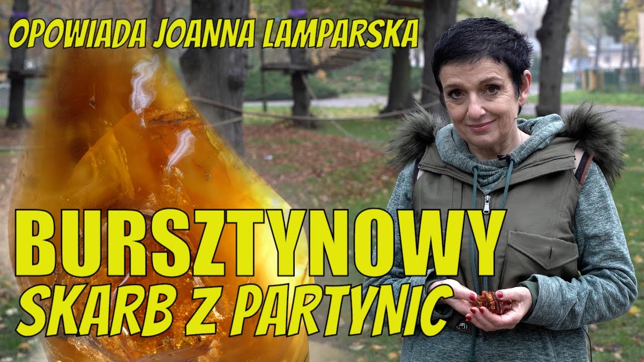 Dolnośląskie Tajemnice #31 #Bursztynowy skarb z Partynic. Opowiada Joanna #Lamparska