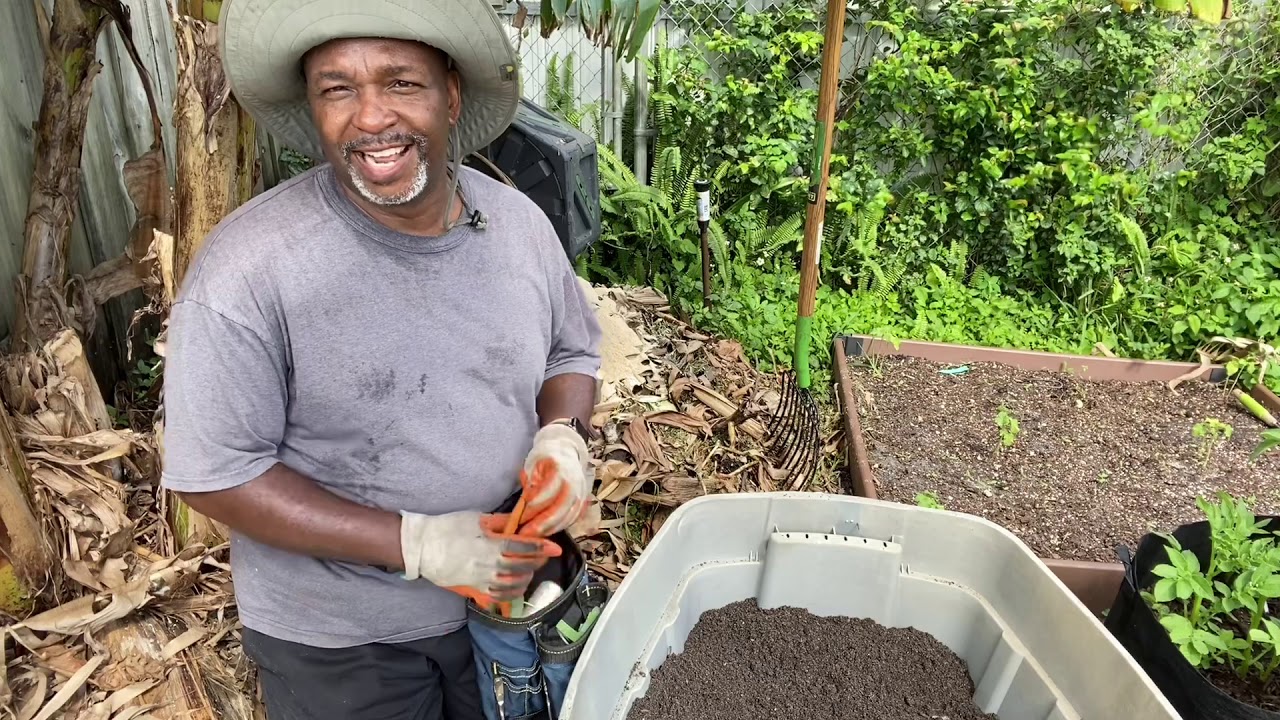 Growing Watermelon in a Container