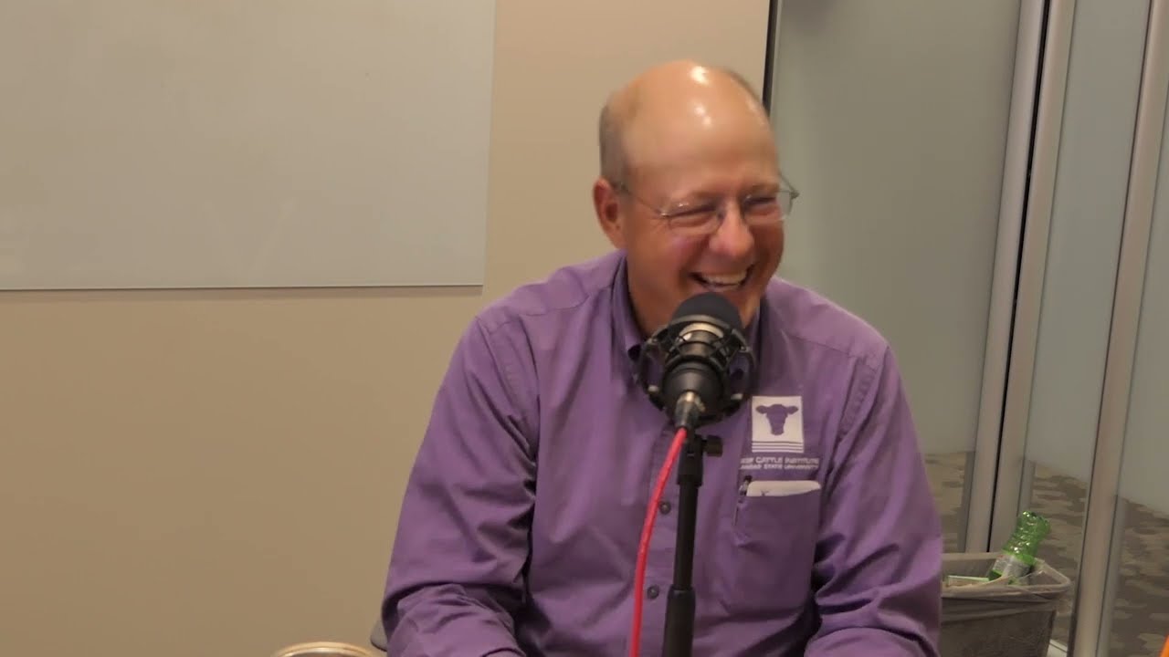 BCI Ask the Experts - Should I use Sexed Semen on my Operation?