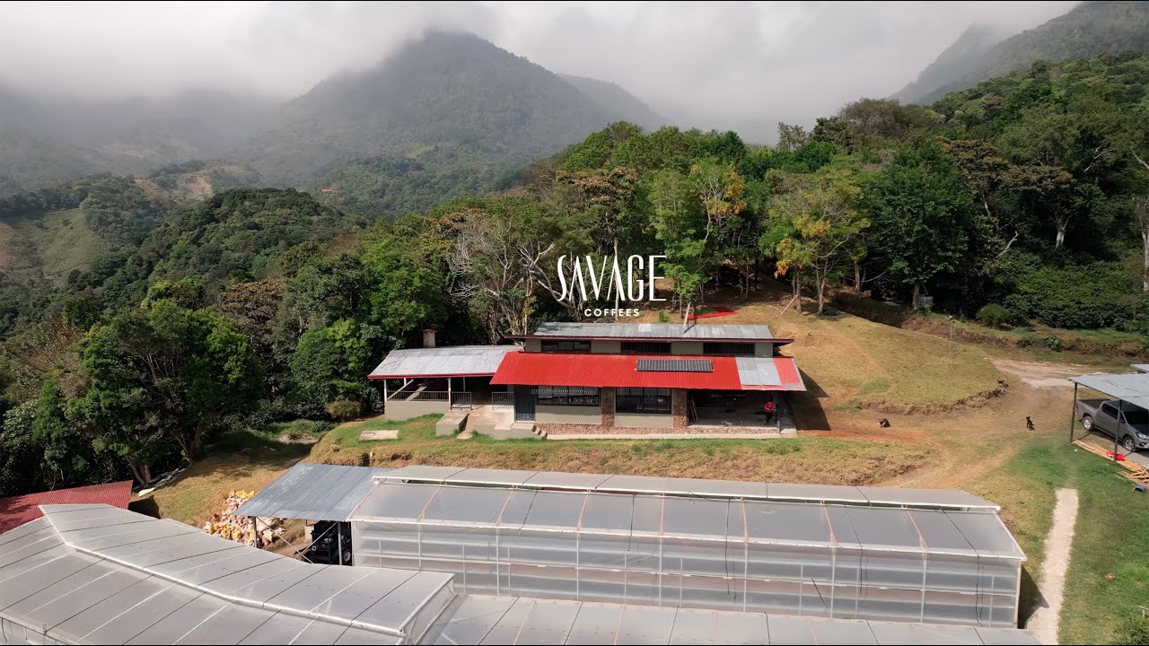 Crafting Excellence: Corvus x Jamison Savage