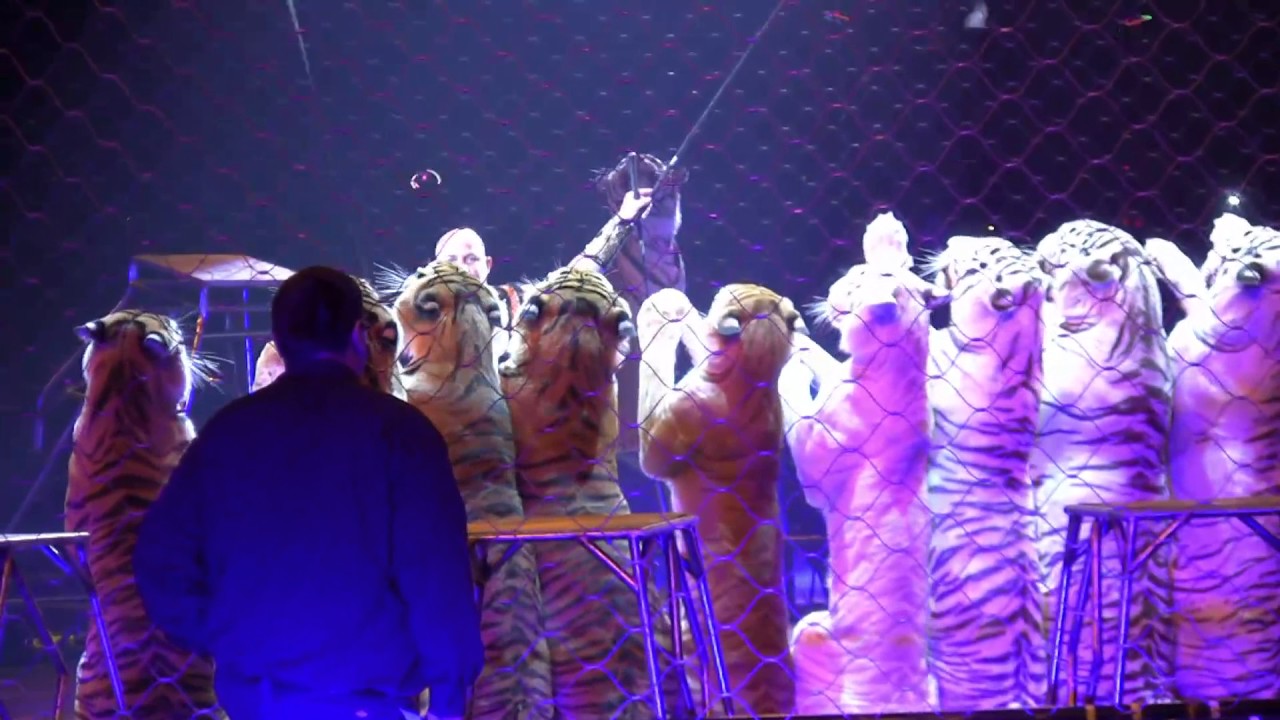 PABLO AZAR URGES HIS FANS: PLEASE STAY AWAY FROM CIRCUSES THAT USE ANIMALS
