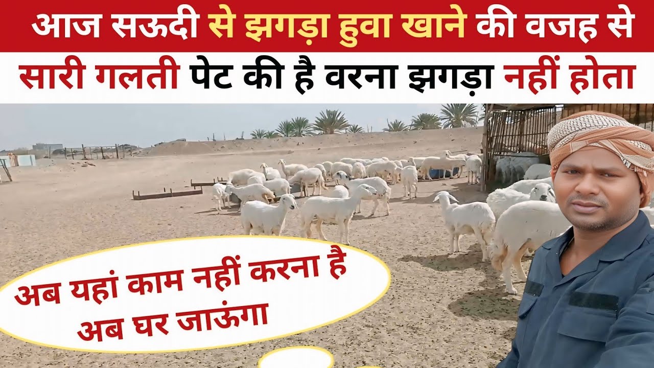 आज सऊदी मालिक से झगड़ा हो गया!indian goat worker life!majra worker daily life vlog @Rsgya Vlogs 