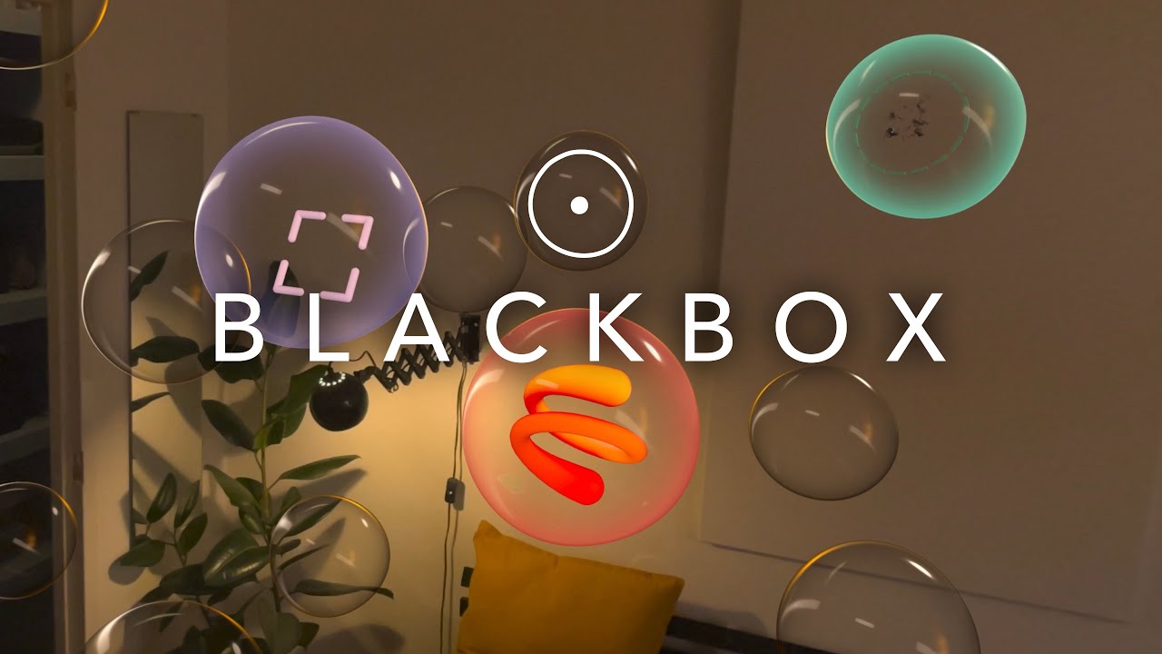 Blackbox for Vision