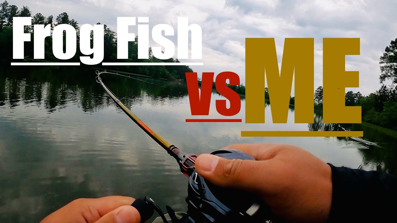 Frog Eaters -2, ME-Zero . FIRST fish on the Megabass Evoluzion rod.