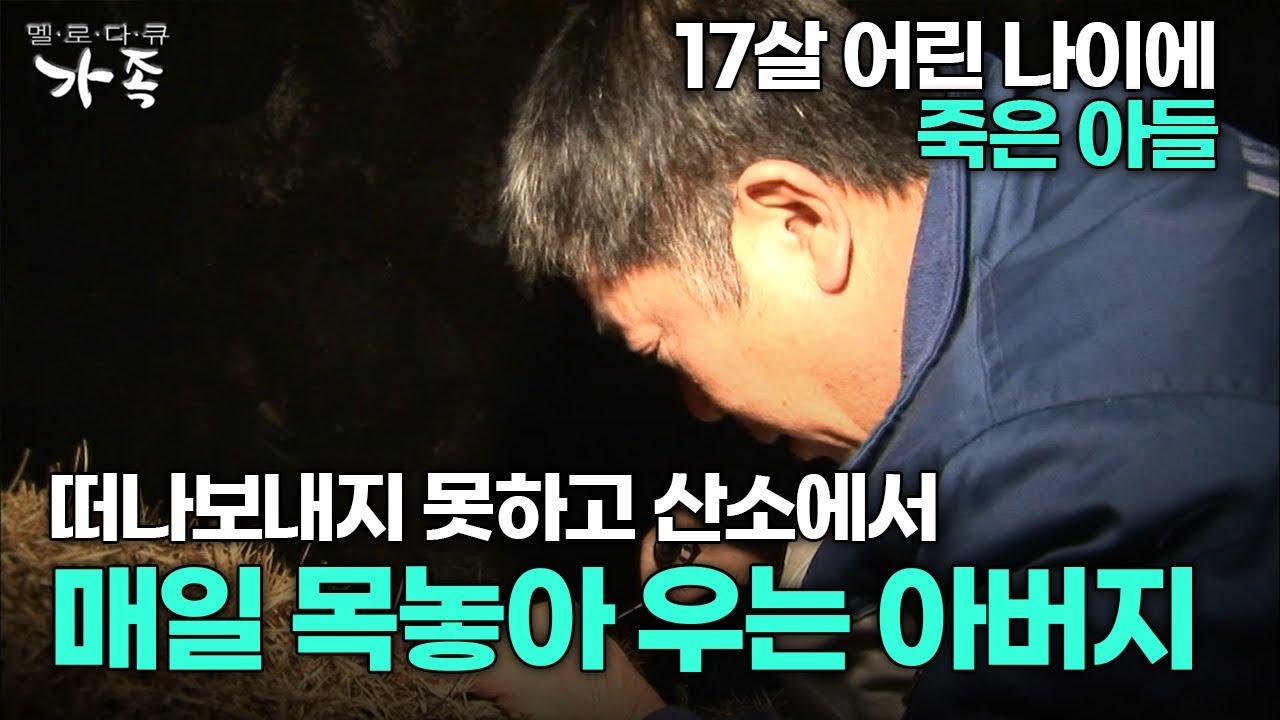 [다큐 ‘가족’ 114회 1부] 17살 어린 나이에 죽은 아들 떠나보내지 못하고 산소에서 매일 목놓아 우는 아버지