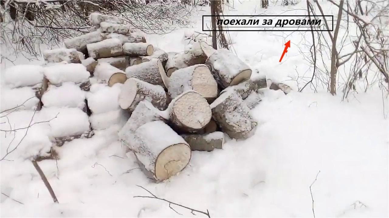 поехали за дровами в лес