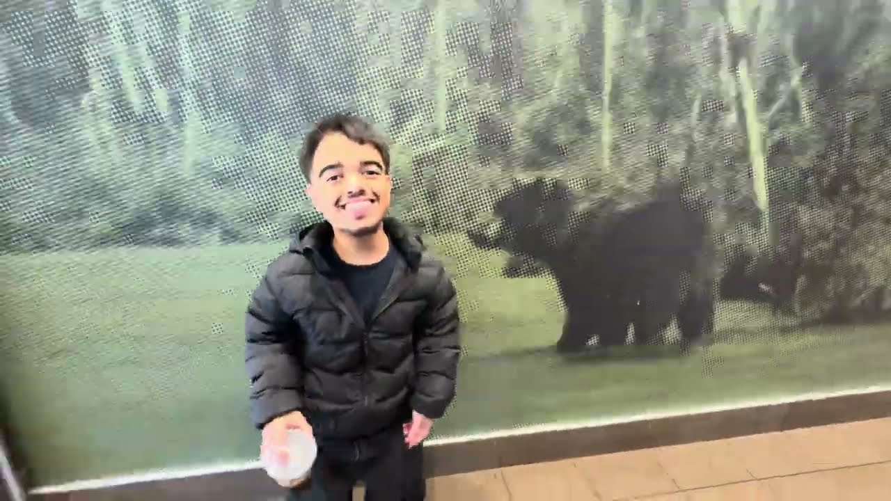 Biggest bear 