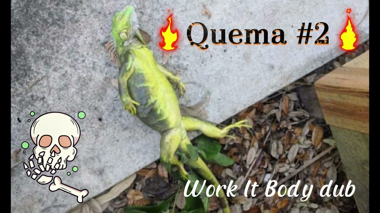 Work It Body dub - Randeman Quema #2🦎