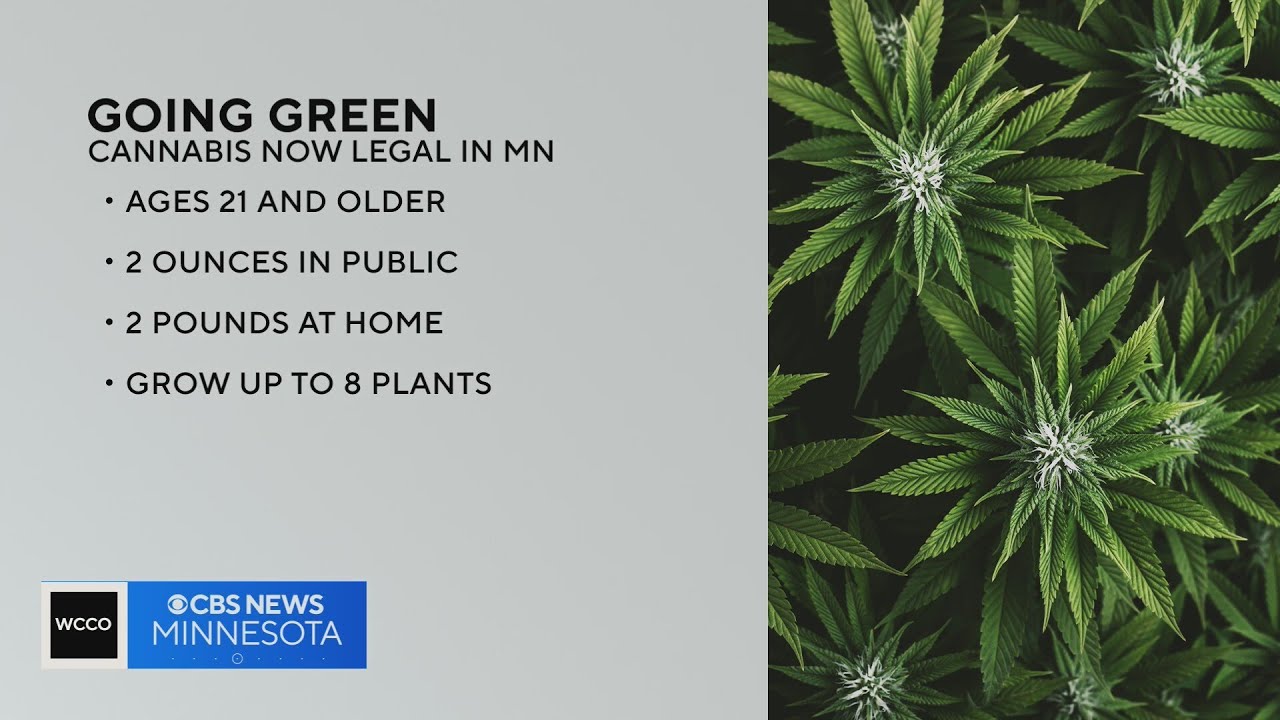 Workers scramble to keep up with demand of weed seeds