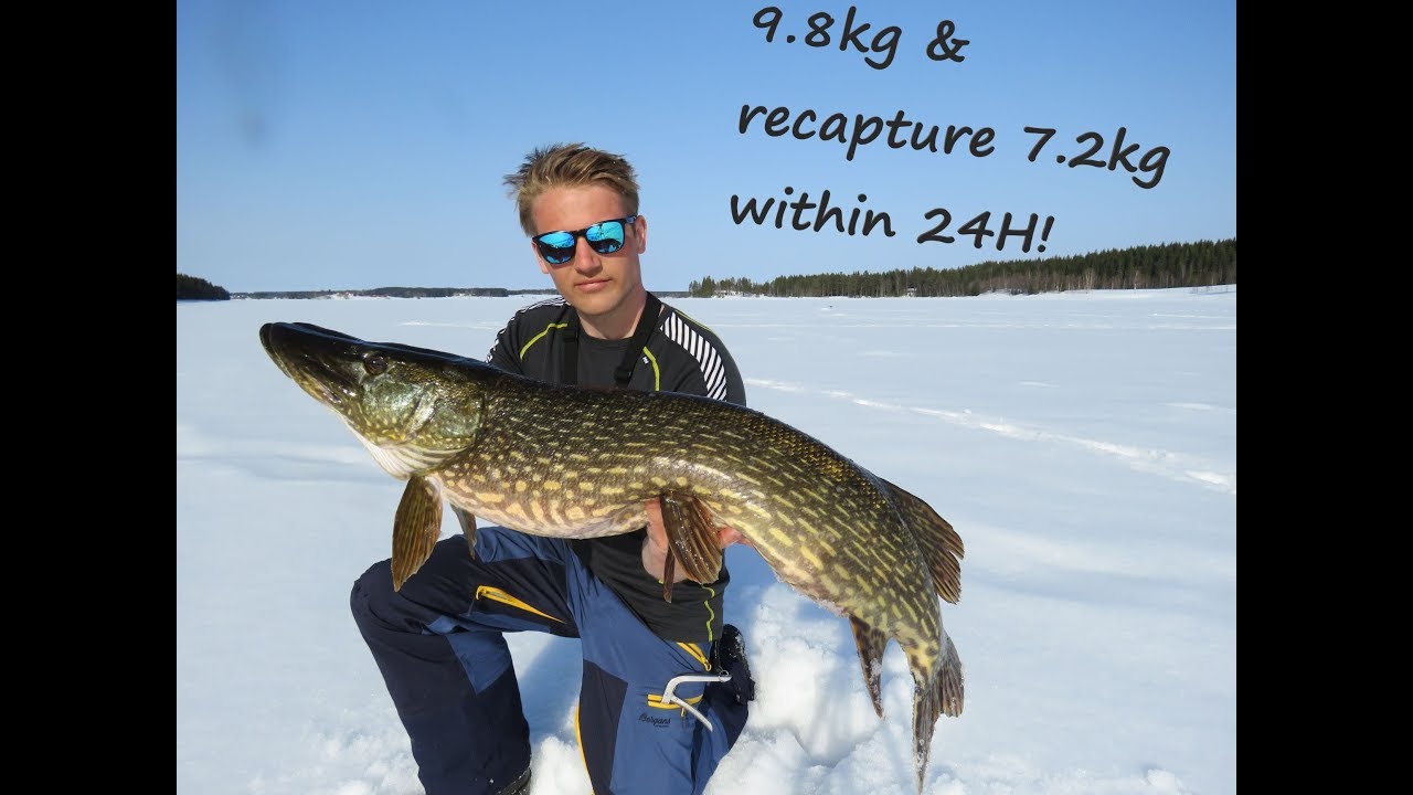 Ismeite Gjedde/ Icefishing for pike: 9.8KG & RECAPTURE 7.2KG WITHIN 24H - UNDERWATER STRIKE