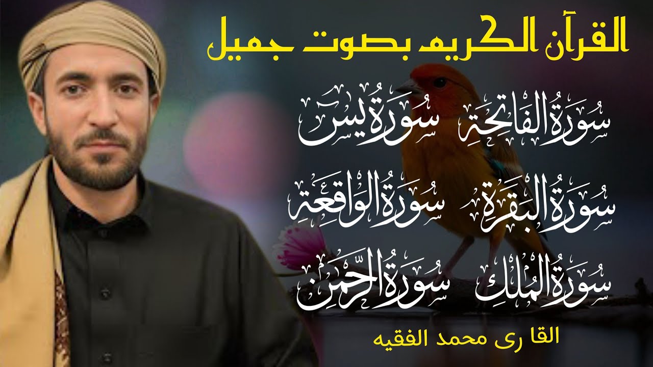 Surah yasin |surah Al rehman | surah Al Waqia | surah Al mulk | mohammad Al Faqih recitation