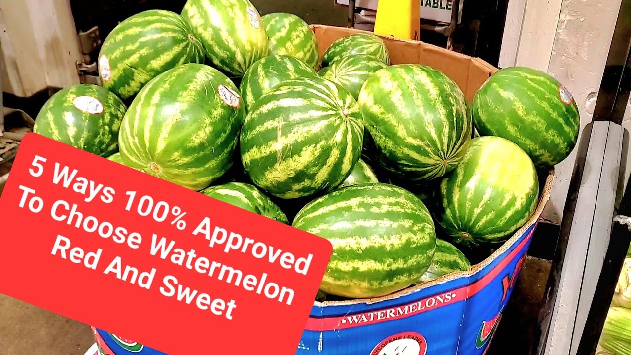 5 Ways To Tell If Watermelon Is Red Sweet 100% Approved, How To Choose Sweet Red Watermelon