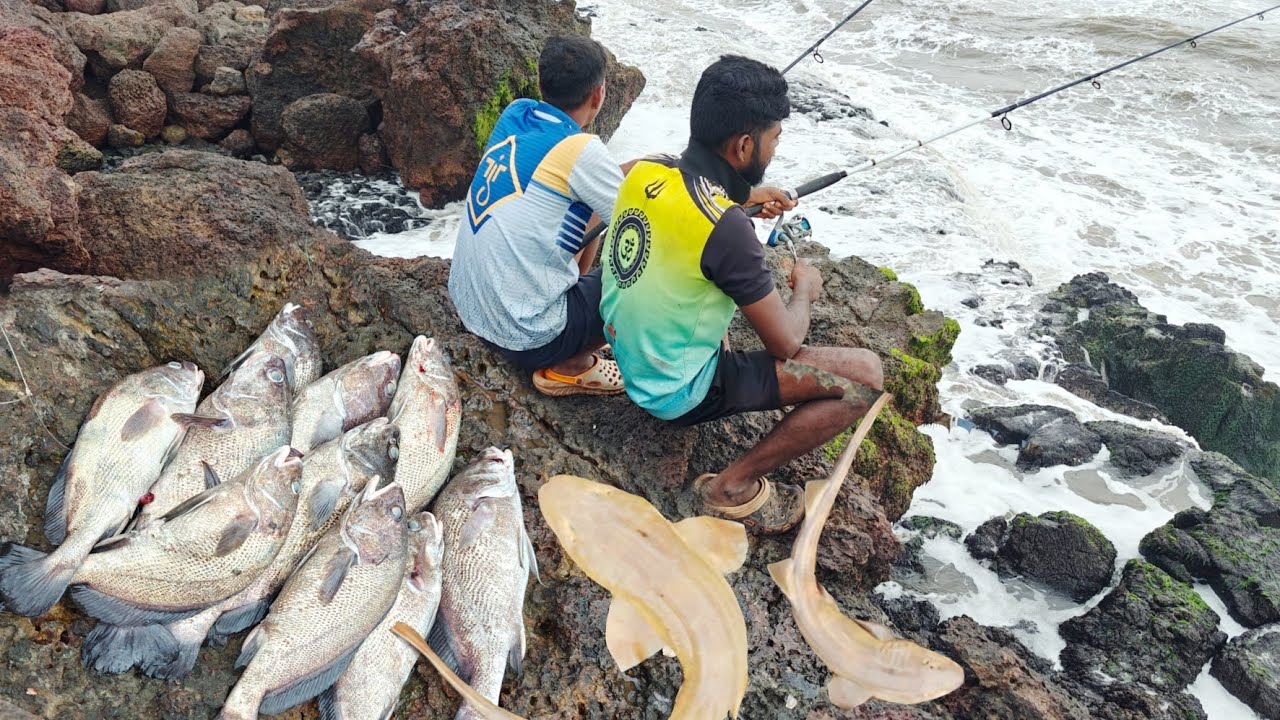 गरवून मासे पकडण्याची धम्माल , गरीला बांगडा लावून पकडले मोठे ढोमा मासे | kokan fishing @TejaGurav 