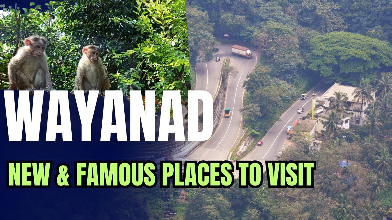 Wayanad's Beautiful and Latest Adventure Places To Visit | Wayanad | Places to visit in Wayanad