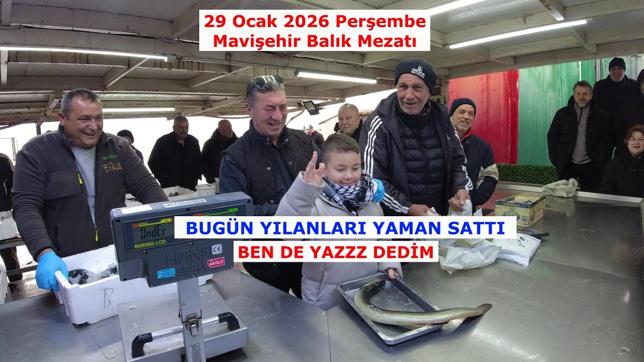 YAMAN YILAN BALIĞI SATAR DA BEN ALMAZ MIYIM. 29 OCAK 2026. MAVİŞEHİR BALIK MEZATI.