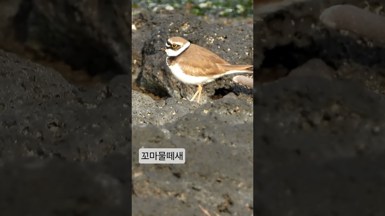 깜찍한 꼬마가 따뜻해지니 나타났네 !