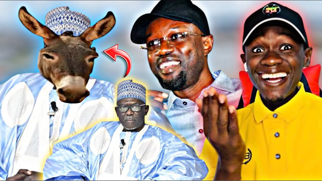 Moustapha diakhase nena loulakh ngouy wakh sonko dieredief 🤣