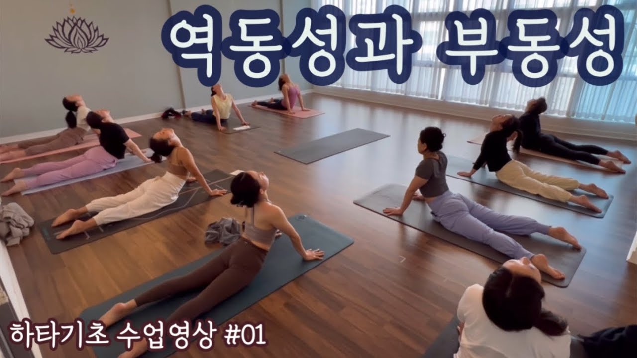 [엔젤요가] 하타기초 수업영상#01 | 역동성과 부동성