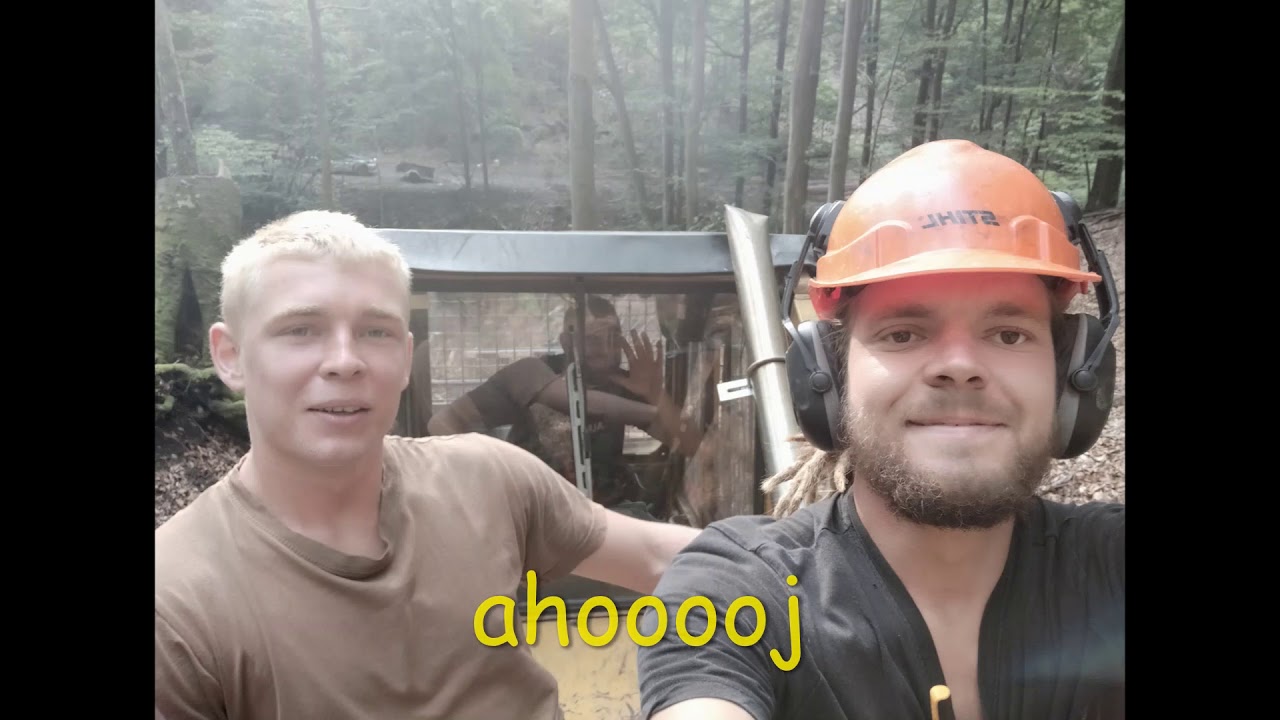 LKT 81 turbo .  Ako to začalo a práca v lese