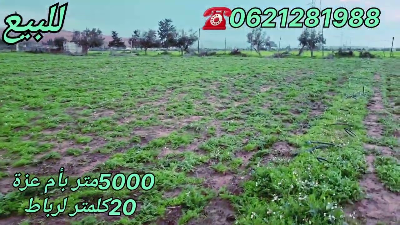أرض 5000متر بأم عزة فيها دو والماء وسكنى قرب الرباط ☎️0621281988
