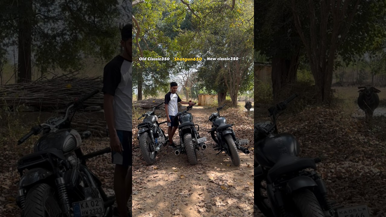 Which is best ?  #royalenfield #bikelife #shotgun650 #classic350 #reborn350 #exhaustsoundclassic350