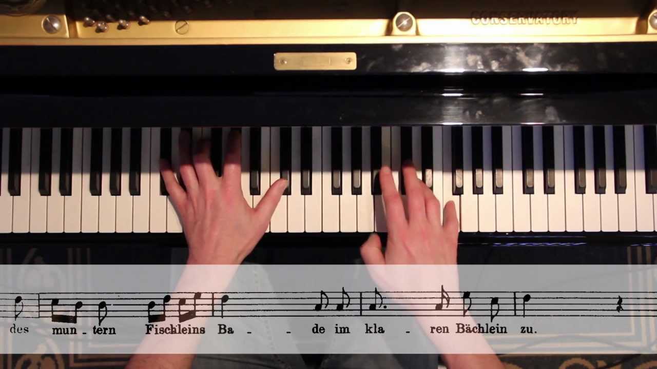 Franz Schubert: 