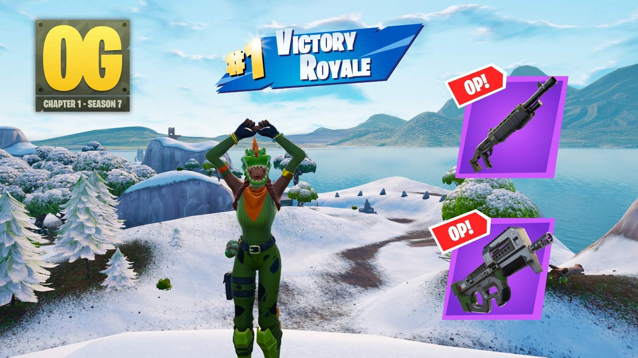 24 Kill Fortnite Solos 