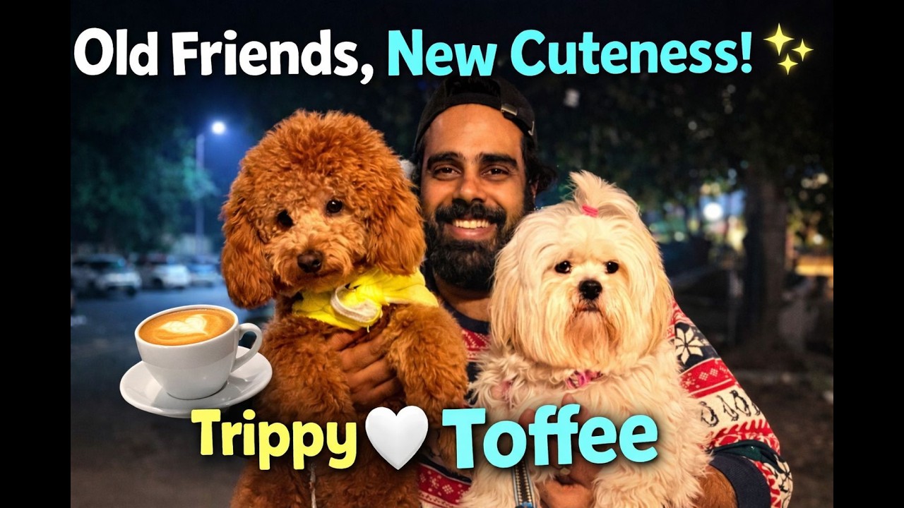 Coffee Date +old friends + Doggo meetup ☕🐾 | Trippy Meets Toffee 💖