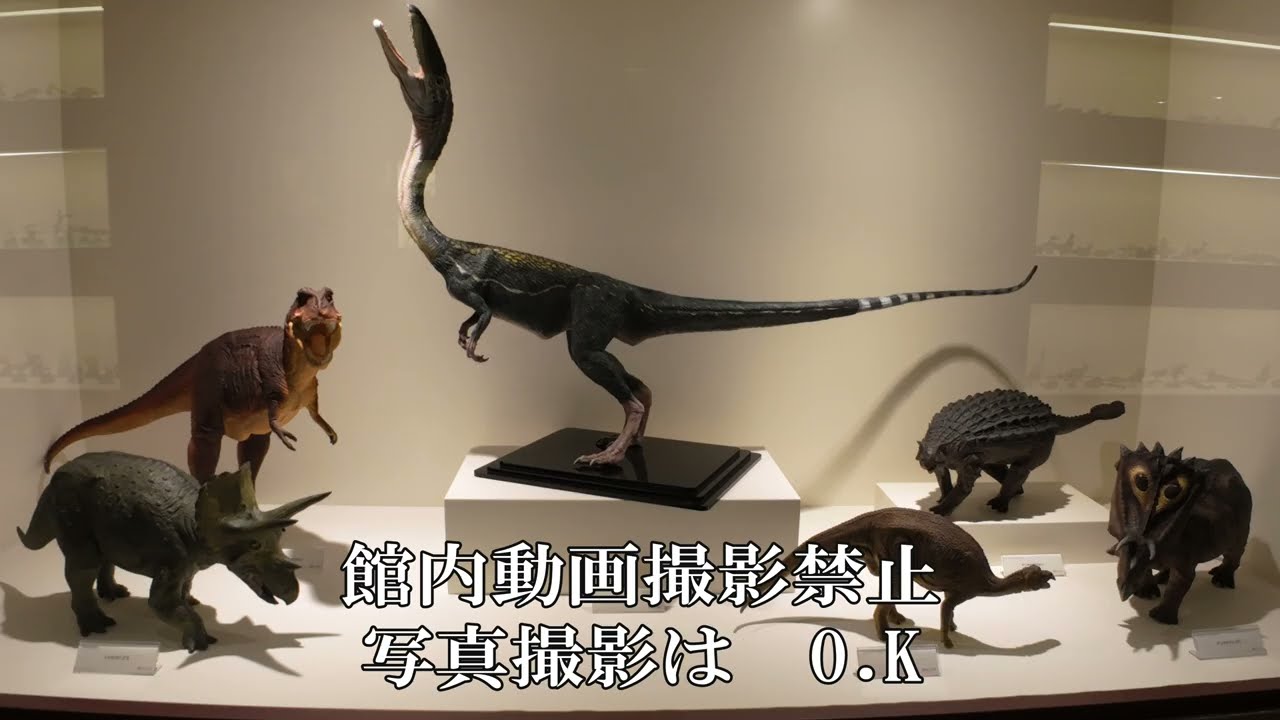 オヤジ達の大阪城周辺　博物館見学