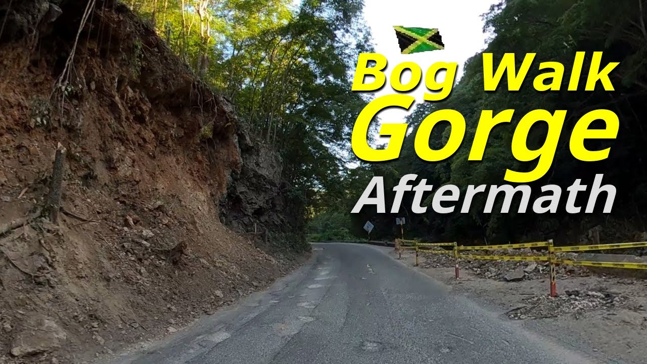Exploring The Bog Walk Gorge After Tropical Storm Rafael | Jamaican Journeys