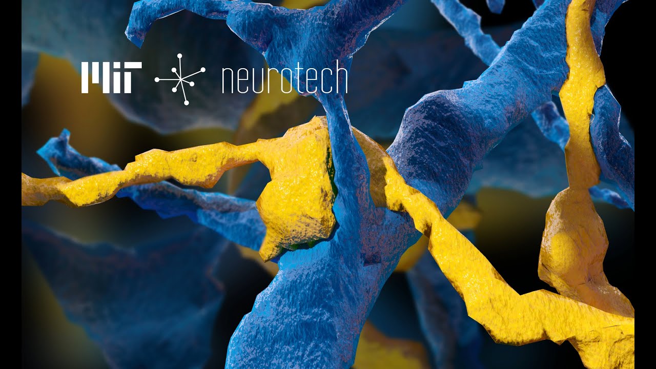 MIT Neurotech: Connectomics
