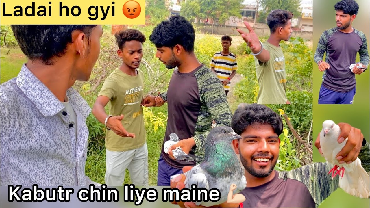 Kabutar lut liye 🤩 (Fighting for pigeon 🤺) Bhag gye lekar