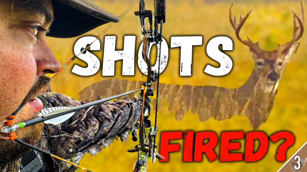 8 BIG BUCKS! Bowhunting Whitetails in Early Season BUCK NEST?
